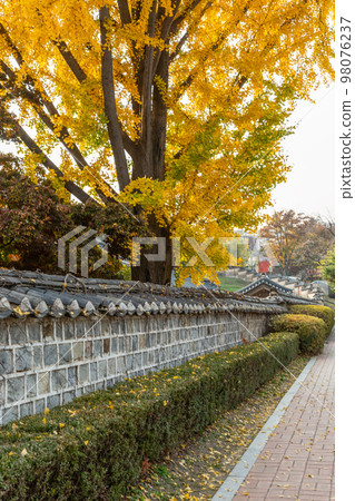 autumn landscape, scenery of Suwon Hwaseong in Korea 98076237