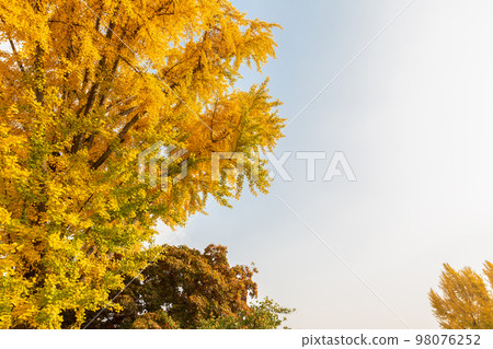 autumn landscape, scenery of Suwon Hwaseong in Korea 98076252