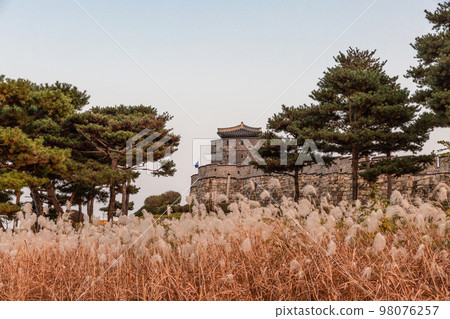 autumn landscape, scenery of Suwon Hwaseong in Korea 98076257