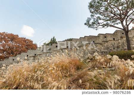 autumn landscape, scenery of Suwon Hwaseong in Korea 98076286