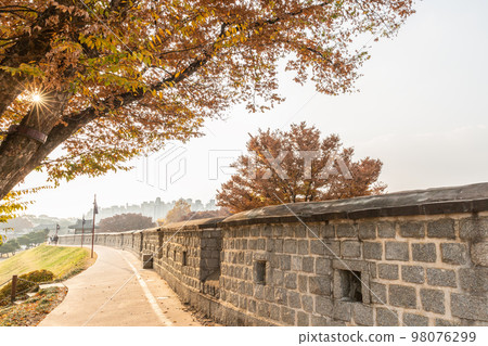 autumn landscape, scenery of Suwon Hwaseong in Korea 98076299