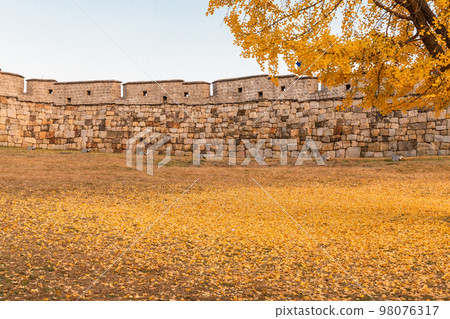 autumn landscape, scenery of Suwon Hwaseong in Korea 98076317
