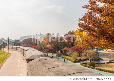 autumn landscape, scenery of Suwon Hwaseong in Korea 98076334