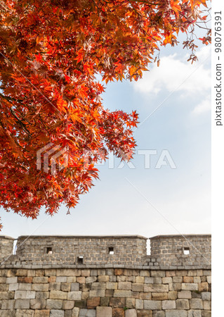 autumn landscape, scenery of Suwon Hwaseong in Korea 98076391