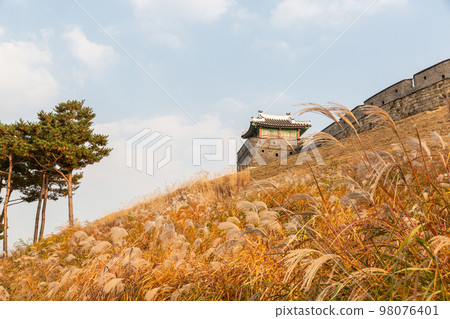 autumn landscape, scenery of Suwon Hwaseong in Korea 98076401