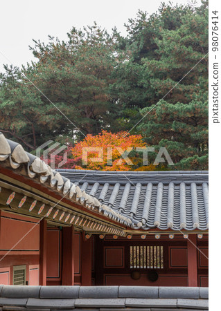 autumn landscape, scenery of Suwon Hwaseong in Korea 98076414
