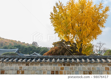 autumn landscape, scenery of Suwon Hwaseong in Korea 98076417
