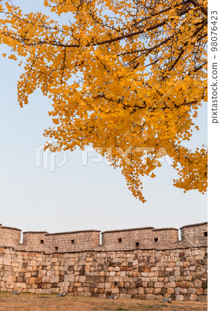autumn landscape, scenery of Suwon Hwaseong in Korea 98076423