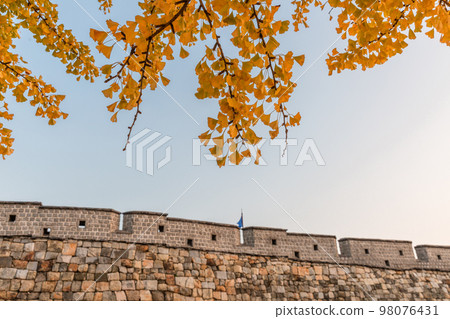autumn landscape, scenery of Suwon Hwaseong in Korea 98076431