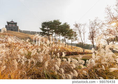 autumn landscape, scenery of Suwon Hwaseong in Korea 98076438