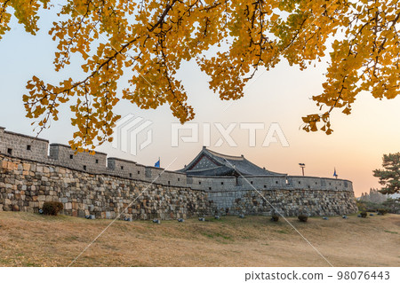 autumn landscape, scenery of Suwon Hwaseong in Korea 98076443