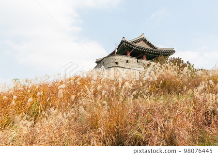 autumn landscape, scenery of Suwon Hwaseong in Korea 98076445
