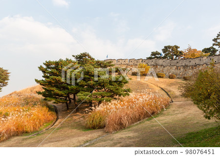 autumn landscape, scenery of Suwon Hwaseong in Korea 98076451