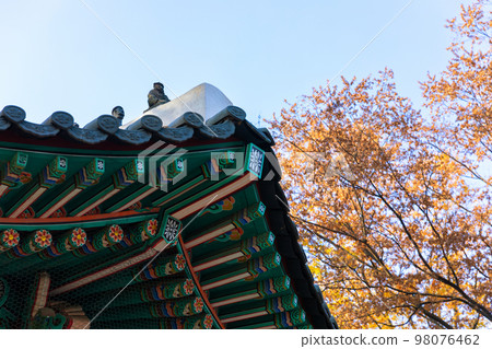 beautiful autumn landscape, scenery with coloful leaves and silver grass in Namsan Park of Korea 98076462