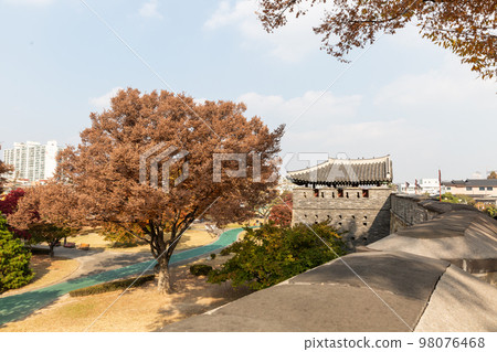 autumn landscape, scenery of Suwon Hwaseong in Korea 98076468