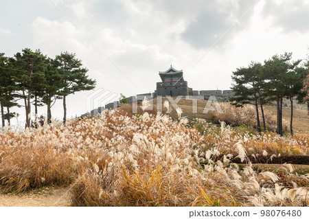 autumn landscape, scenery of Suwon Hwaseong in Korea 98076480
