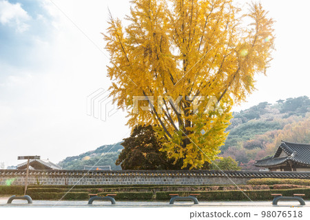 autumn landscape, scenery of Suwon Hwaseong in Korea 98076518