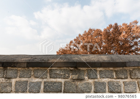 autumn landscape, scenery of Suwon Hwaseong in Korea 98076565