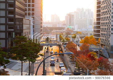 beautiful autumn landscape, scenery with coloful leaves and silver grass in Namsan Park of Korea 98076566