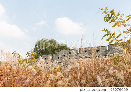 autumn landscape, scenery of Suwon Hwaseong in Korea 98076609