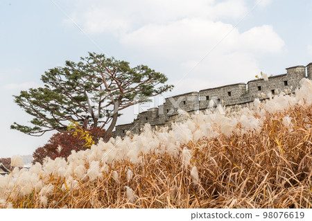autumn landscape, scenery of Suwon Hwaseong in Korea 98076619