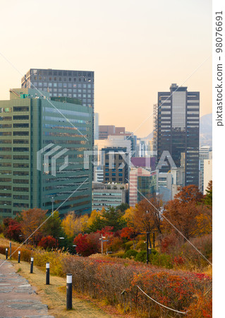 beautiful autumn landscape, scenery with coloful leaves and silver grass in Namsan Park of Korea beautiful autumn landscape, scenery with coloful leaves and silver grass in Namsan Park of Korea 98076691