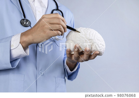 brain health and dementia series_explain holding brain miniature brain health and dementia series_explain holding brain miniature 98076868