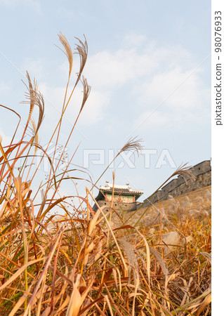 autumn landscape, scenery of Suwon Hwaseong in Korea 98076933