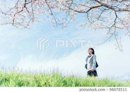 在櫻花河床上學的女高中生 98078511