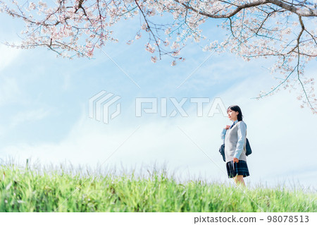 A high school girl who goes to school on a cherry blossom riverbed 98078513