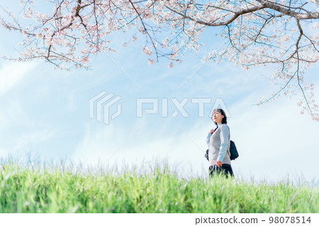 在櫻花河床上學的女高中生 98078514