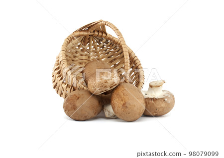 Baby portobellos mushrooms isolated on white Baby portobellos mushrooms isolated on white 98079099