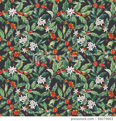 Beautiful seamless pattern with watercolor hand drawn coffee branches with white flowers green leaves and red beans. Stock illustration. Beautiful seamless pattern with watercolor hand drawn coffee branches with white flowers green leaves and red beans. Stock illustration. 98079663