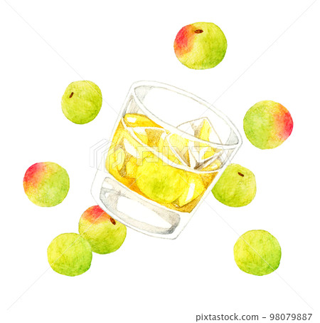 玻璃杯中的梅酒（岩石）和青梅飲料和水果手繪水彩插圖素材 98079887