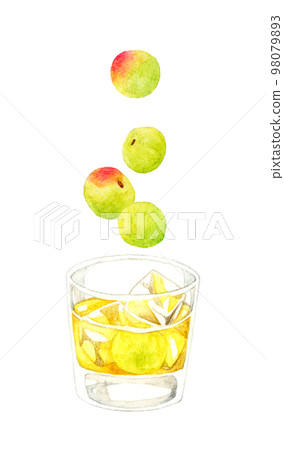 玻璃杯中的梅酒（岩石）和青梅飲料和水果手繪水彩插圖素材 98079893