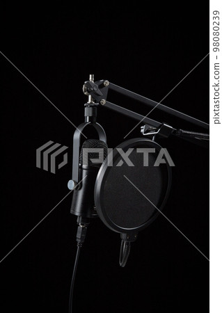 MIC 98080239