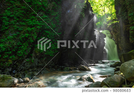 [Tochigi Prefecture] Sukkan swamp in early summer_Yuhi Falls_17 98080683