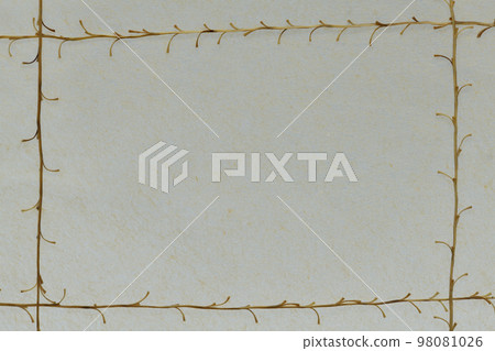Background material of Japanese paper and Susuki (thin) inflorescence Background material of Japanese paper and Susuki (thin) inflorescence 98081026