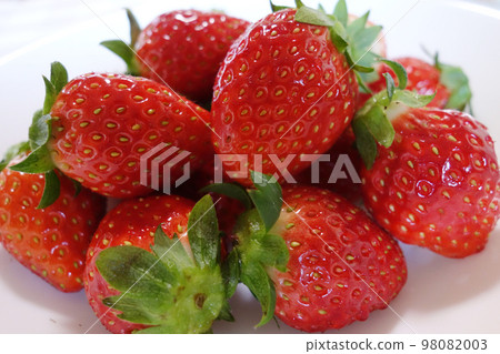 新鮮的草莓 新鮮的草莓 98082003