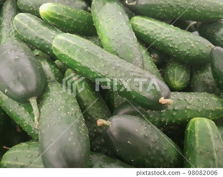 lots of fresh cucumbers on the counter in the supermarket lots of fresh cucumbers on the counter in the supermarket 98082006