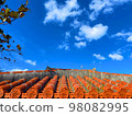 Red tile roof of Okinawa 98082995