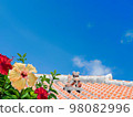Red tile and hibiscus of Okinawa 98082996
