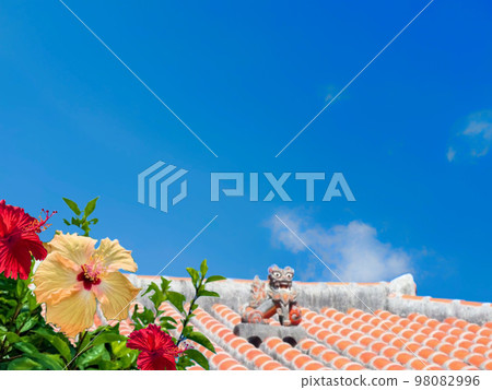 Red tile and hibiscus of Okinawa 98082996