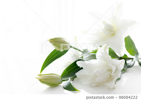 Cut flower lily flower for background 98084222