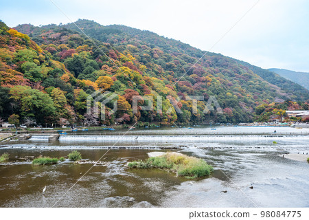 Autumn Kyoto Katsura River 98084775