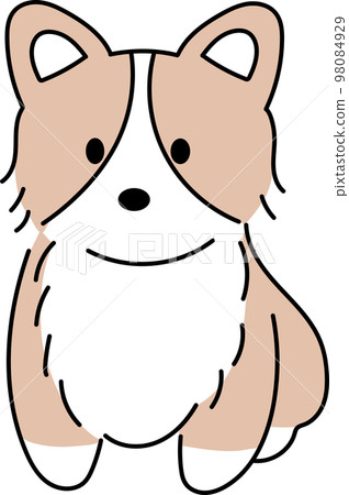 cute corgi 98084929