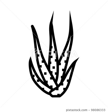 green aloe vera line icon vector illustration 98086333