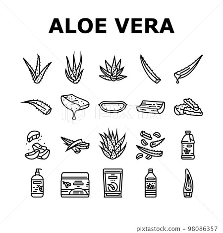 aloe vera nature green care icons set vector 98086357