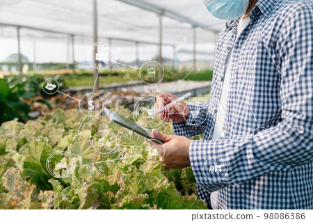 Agriculture technology farmer woman holding tablet or tablet technology to research about agriculture problems analysis data and visual icon. 98086386