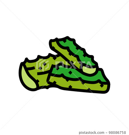 herbal aloe vera color icon vector illustration 98086758